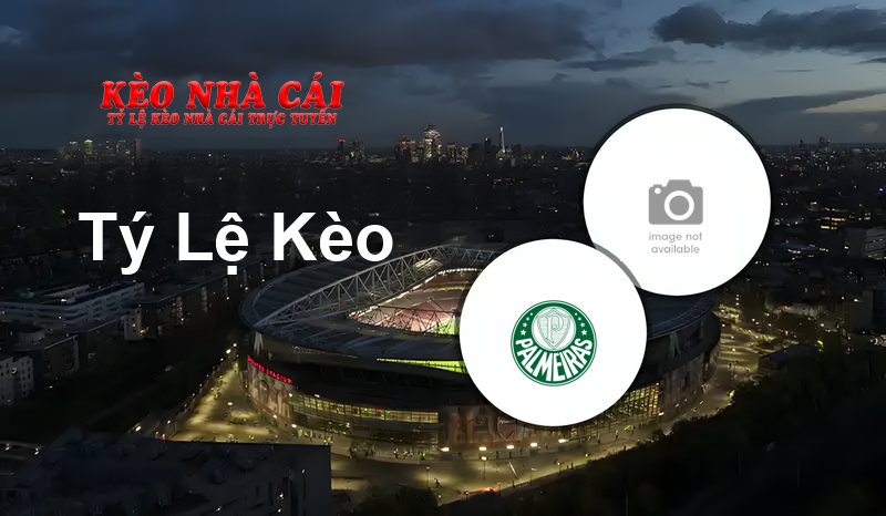 Palmeiras U17 vs Botafogo U17 Predictions